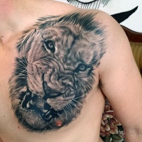 Very realistic looking black and white angry lion tattoo on chest