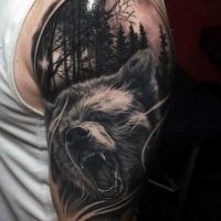 Very realistic looking black ink detailed roaring bear in forest tattoo on shoulder