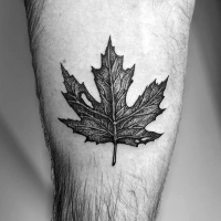 Very realistic looking black ink maple leaf tattoo on leg