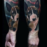 Tatuaje en el antebrazo, retrato de perro adorable realista