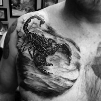 Very realistic looking magnificent detailed black scorpion tattoo on chest