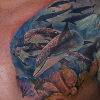 molto realistico multicolore mondo marino con delfini tatuaggio su petto