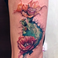 Vintage picture like colored cactus flowers tattoo on arm