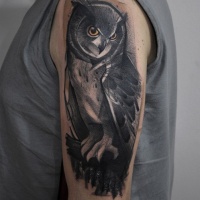Vintage picture style colored shoulder tattoo of big owl