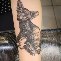 Vintage style black ink forearm tattoo of Sphinx cat with skulls