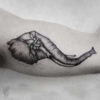 Vintage style black ink little elephant head tattoo on arm muscle