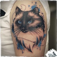 Tatuaje en el brazo, gato elegante con ojos azules