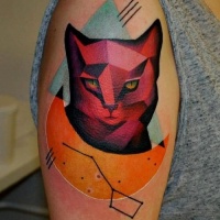 Vivid colors cat tattoo on shoulder