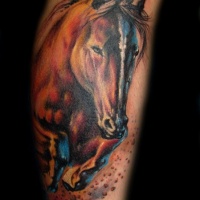 Vivid colors horse tattoo on leg