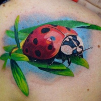 Vivid colors ladybug tattoo on shoulder