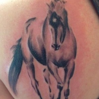 Walking horse tattoo on shoulder  blade
