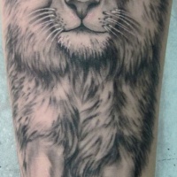 Tatuaggio bellissimo sul braccio il leone