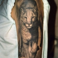 Walking lioness tattoo on half sleeve