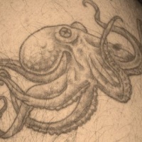 Water animal tattoo with gray octopus