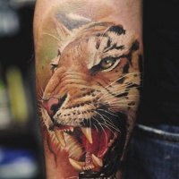 Watercolor lovely tiger head forearm tattoo