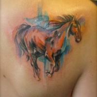 Watercolor  horse tattoo on shoulder blade