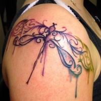 Tatuaje en el brazo,
libélula bonita de varios colores