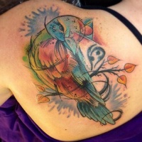 Tatuaggio colorato sulla spalla l'uccello
