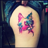 Tatuaggio colorato sulla gamba il gatto