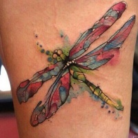 Tatuaje en la pierna,
libélula acuarela