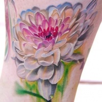 acquarelli elegante fiore rosa tatuaggio