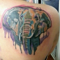Watercolor elephant head tattoo on shoulder blade