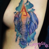 Watercolor elephant tattoo by melissa fusco