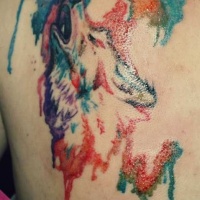 Watercolor howling wolf tattoo