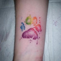 acquerello piccola impronta zampa animale colorata tatuaggio su polso