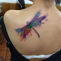 Watercolor lovely dragonfly tattoo on shoulder blade