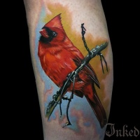 Watercolor lovely red bird tattoo