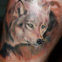 Tatuaje de lobo joven curioso en la pierna