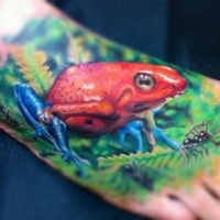 Watercolor red frog tattoo by karl berringer