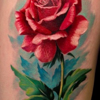 Tatuaje en el brazo, rosa roja realista