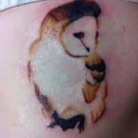 Watercolor snowy owl by Justin at Millenium