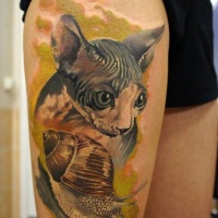 Watercolor sphynx cat and snail tattoo on leg