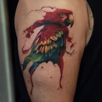 Watercolor style colored shoulder tattoo of funny parrot