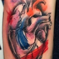 Watercolor style interesting looking human heart tattoo on forearm