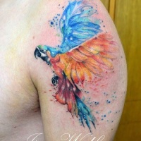 Watercolor style large colorful shoulder tattoo of flying parrot