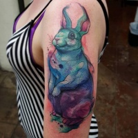 Tatuaje en el hombro,
conejo precioso famoso de acuarelas