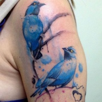 Tatuaggio colorato sul braccio due uccelli blu