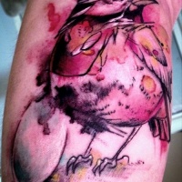 Tatuaje en el brazo, ave y huevo roto