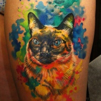 Tatuaje en la pierna, gato orgulloso, diseño multicolor