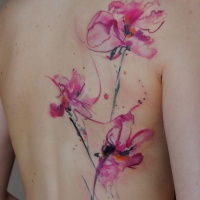 Tatuaggio sulla schiena i fiori colorati