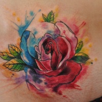 Tatuaje en la espalda, rosa colorida