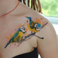 Tatuaggio colorato sul petto gli uccelli