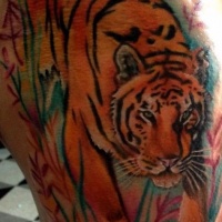 Tattoo von Tiger in Watercolor-Technik an der Hüfte