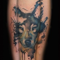 Tatuaje en el antebrazo, lobo lindo de acuarelas