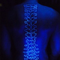 Weiße Lumineszenz detaillierte Wirbelsäule Knochen Tattoo am Rücken