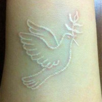 White ink pigeon with blade of grass tattoo